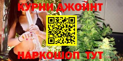 сатива Кандалакша