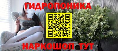 сатива Кандалакша