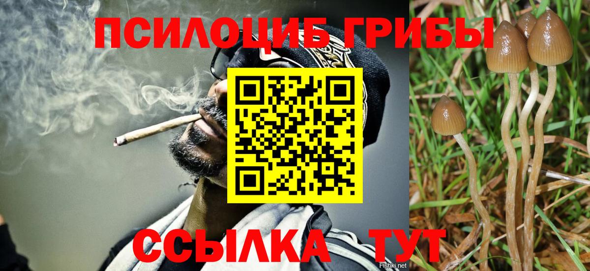 Псилоцибиновые грибы мицелий  Вход с VPN  Кыштым 